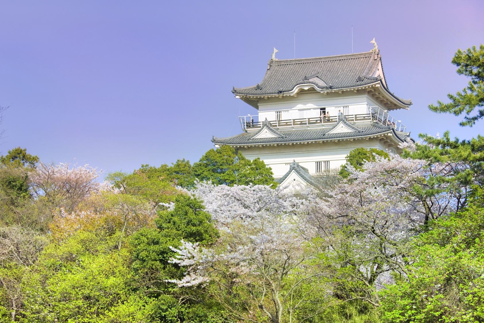 小田原城旅遊攻略指南 小田原城評論 小田原城附近推薦 Trip Com
