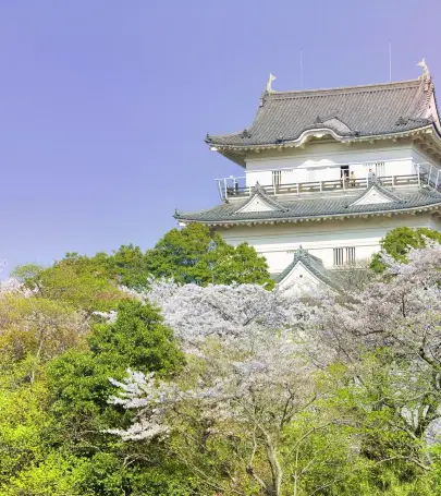 神奈川縣小田原市top10好去處 21小田原市旅遊攻略 Trip Com