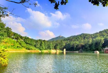 노산국가삼림공원 명소 인기 사진