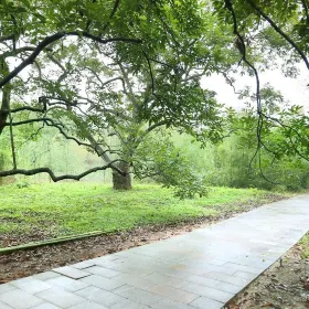 Zheng Guo Hu Xin Island Scenic Area