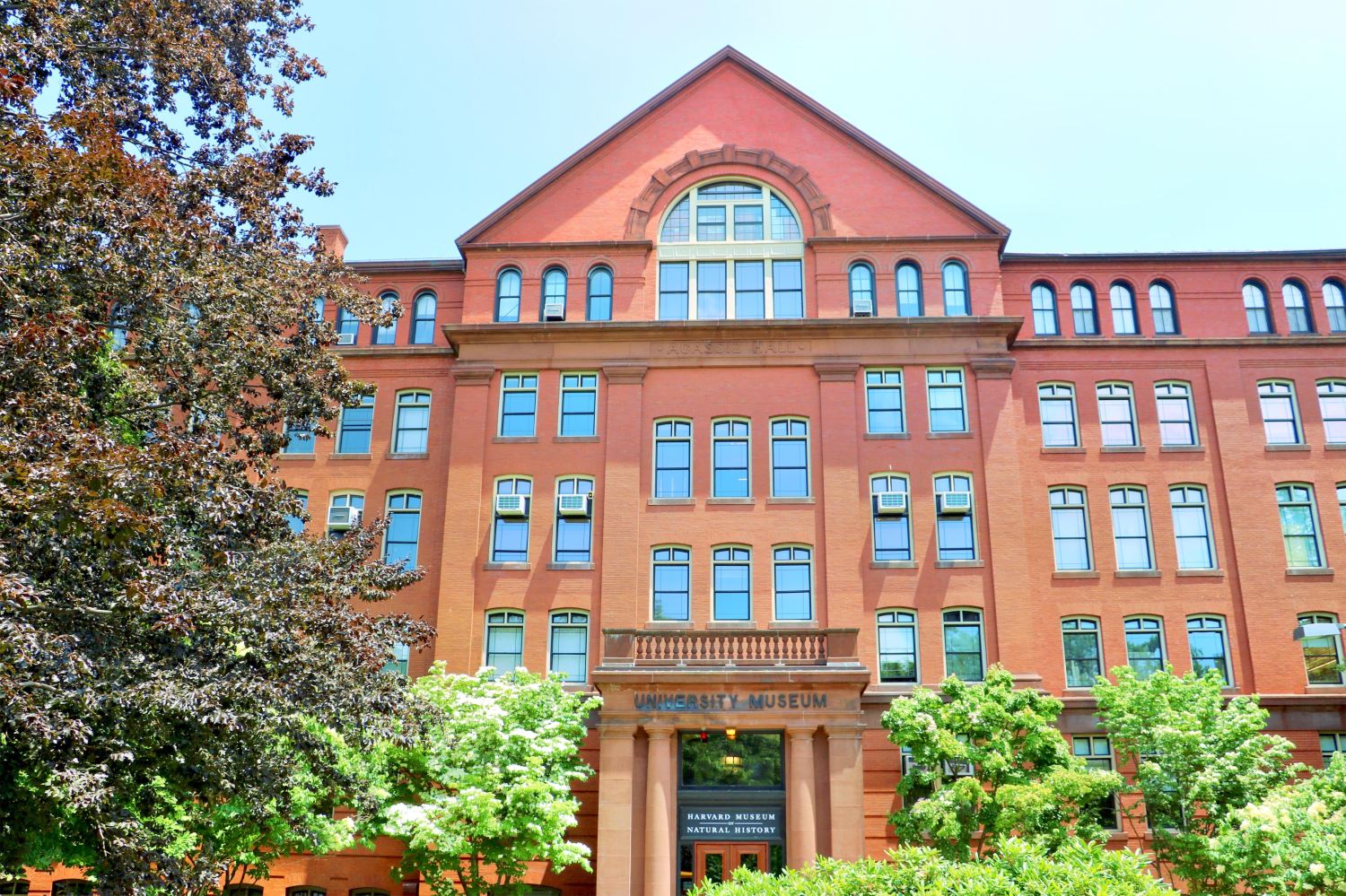 museum of comparative zoology