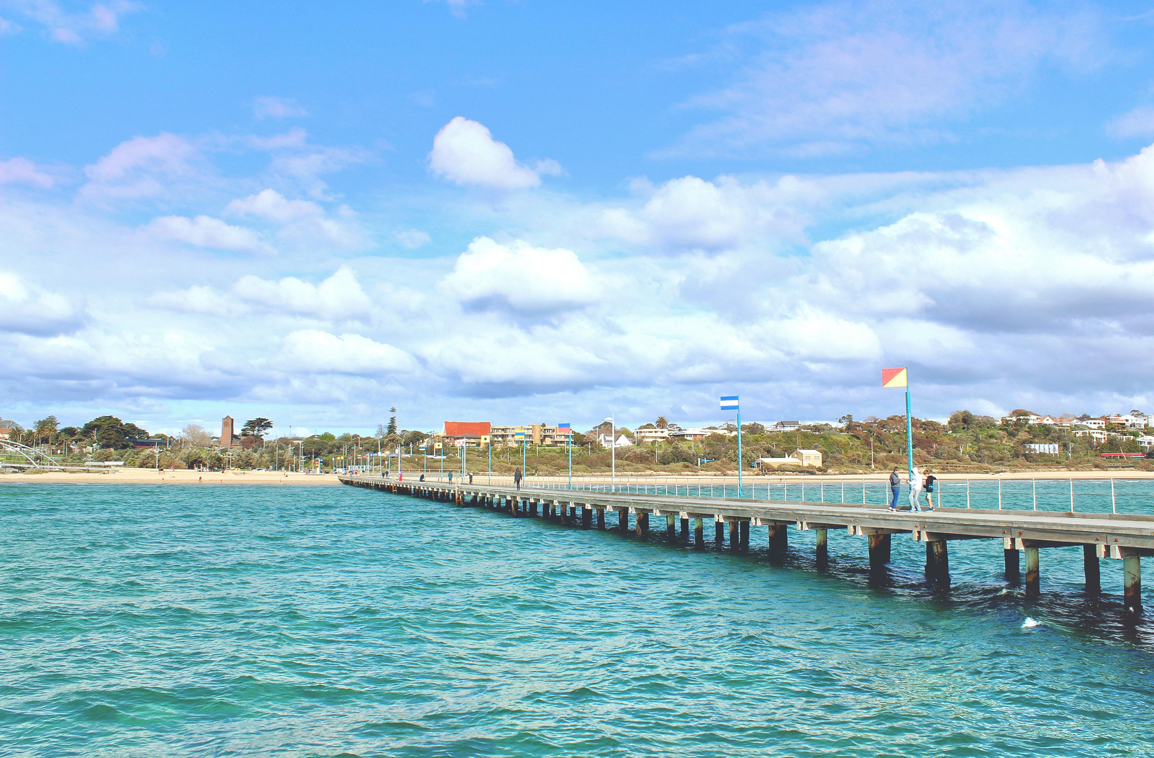 are dogs allowed at frankston beach