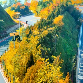 Liyang No. 1 Road (North District)