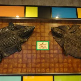 皮革展示中心