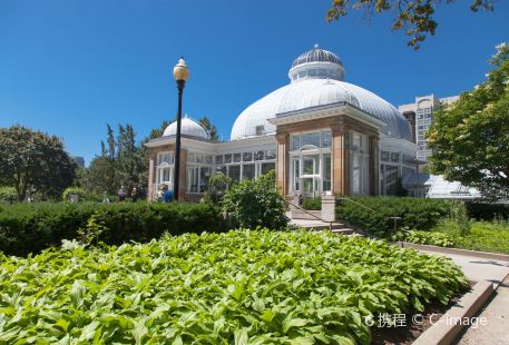 Allan Gardens Conservatory