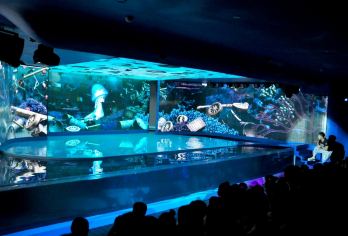 Dream Aquarium Popular Attractions Photos