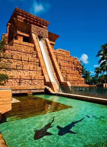 Great Bahama グランド バハマ島 評判＆案内 トリップドットコム