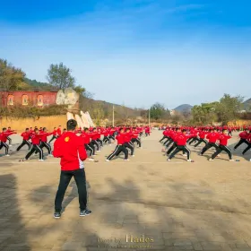Shaolin Tagou Martial Arts School