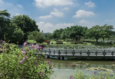 Dongguan Botanical Garden Popular Attractions Photos