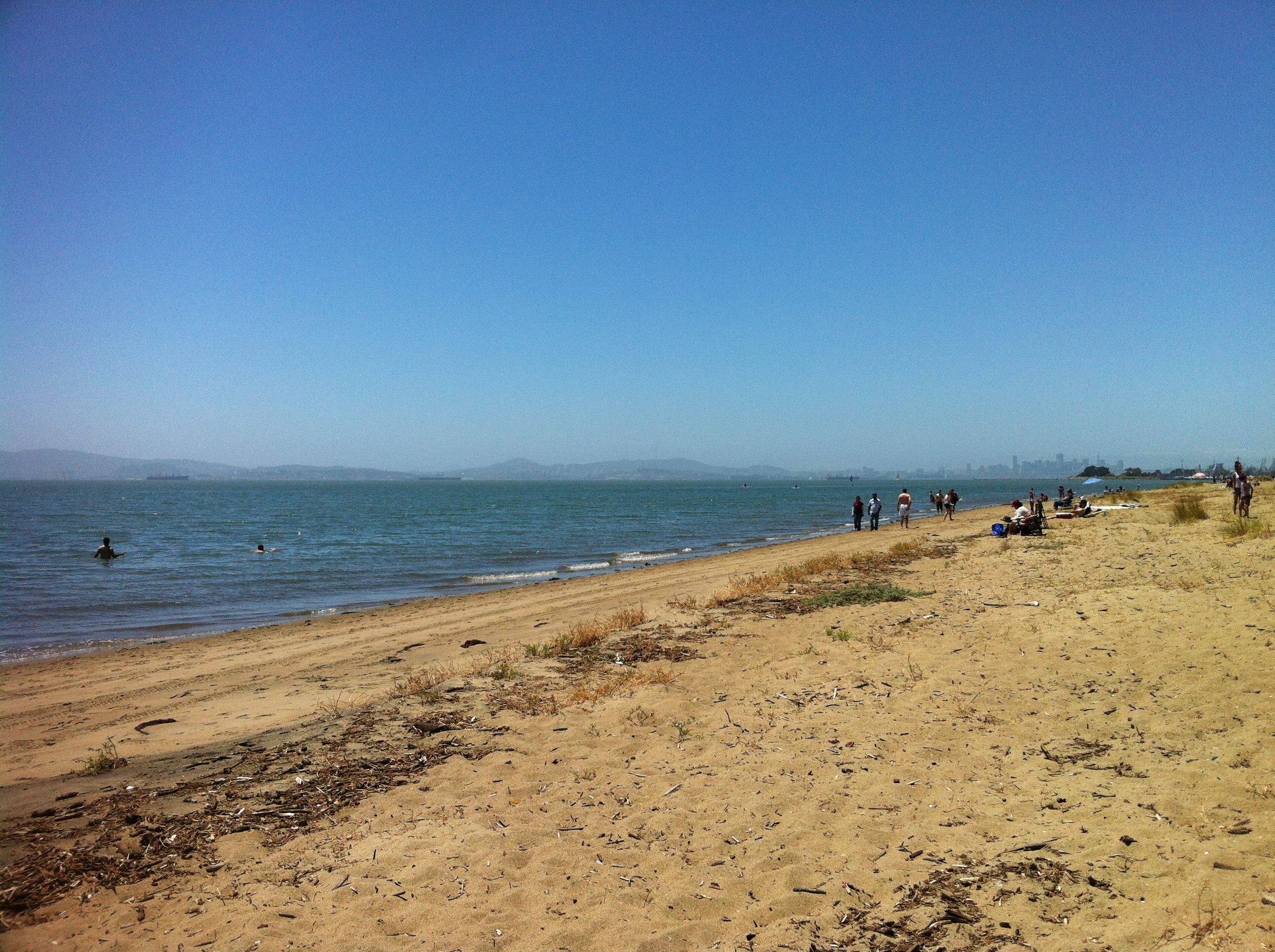 are dogs allowed on alameda beach