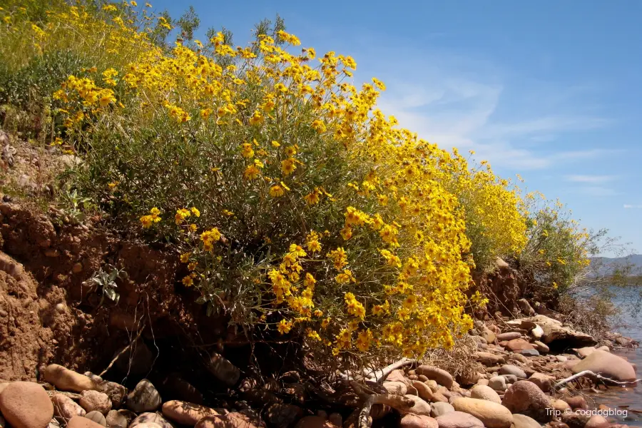 8月Lake Brittle的最新旅遊行程（更新於2023）、Lake Brittle的評價、Lake Brittle的地址及營業時間