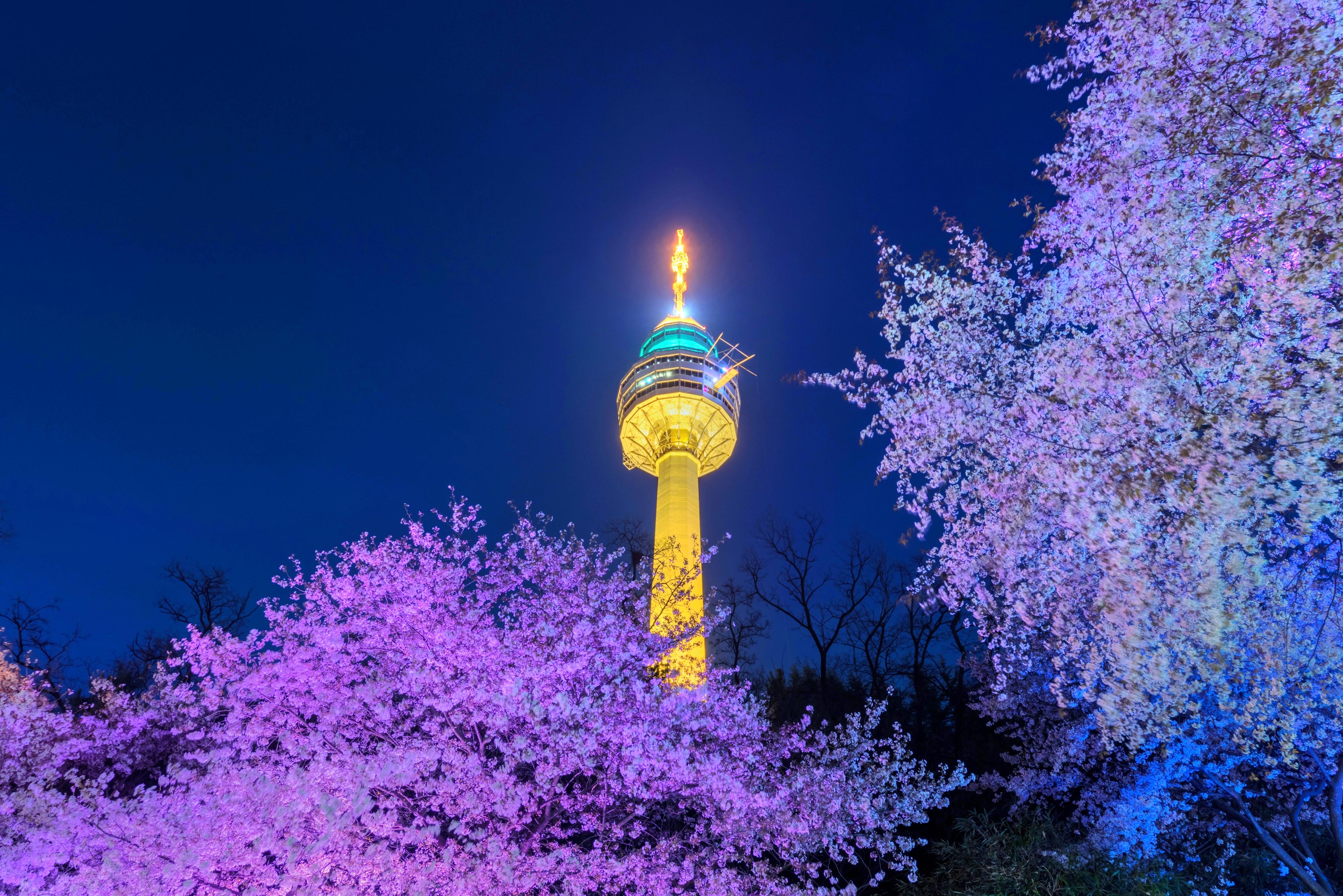 大邱e-world乐园攻略,大邱e-world乐园门票/游玩攻略/地址/图片/门票