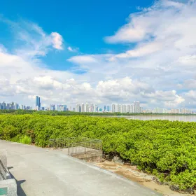 Shenzhen Mangrove Nature Reserve