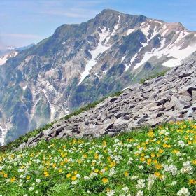 白馬村旅遊景點 熱門推介旅遊攻略 自由行旅遊指南 Trip Com