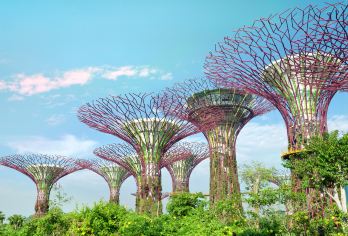 Gardens by the Bay Popular Attractions Photos