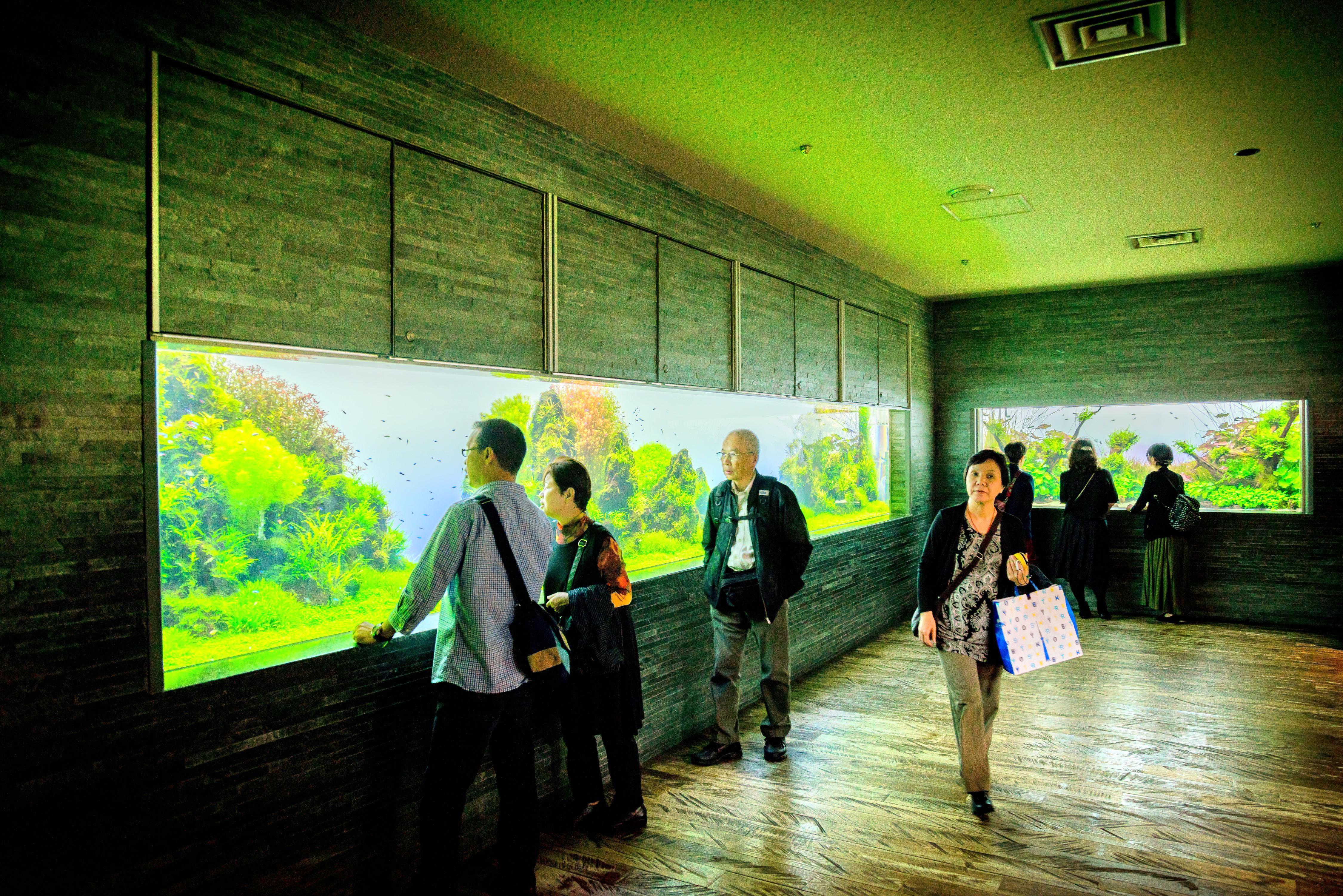 東京 すみだ水族館 評判 案内 トリップドットコム