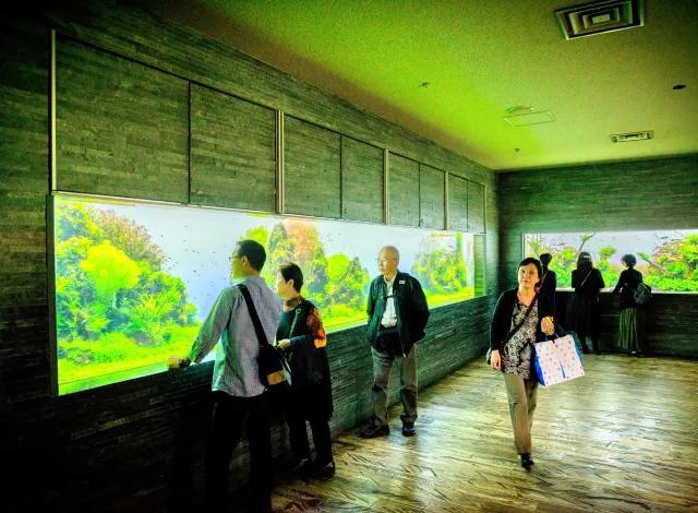 東京 すみだ水族館 評判 案内 トリップドットコム 東京 すみだ水族館 評判 案内 トリップドットコム