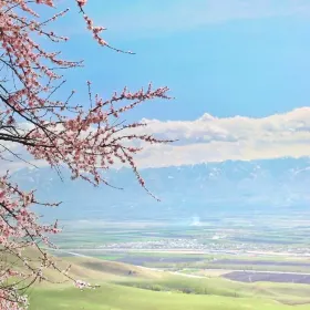 吐爾根