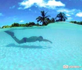 Dive The World Maldives