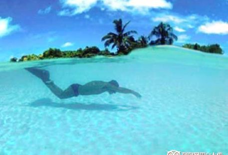 Dive The World Maldives
