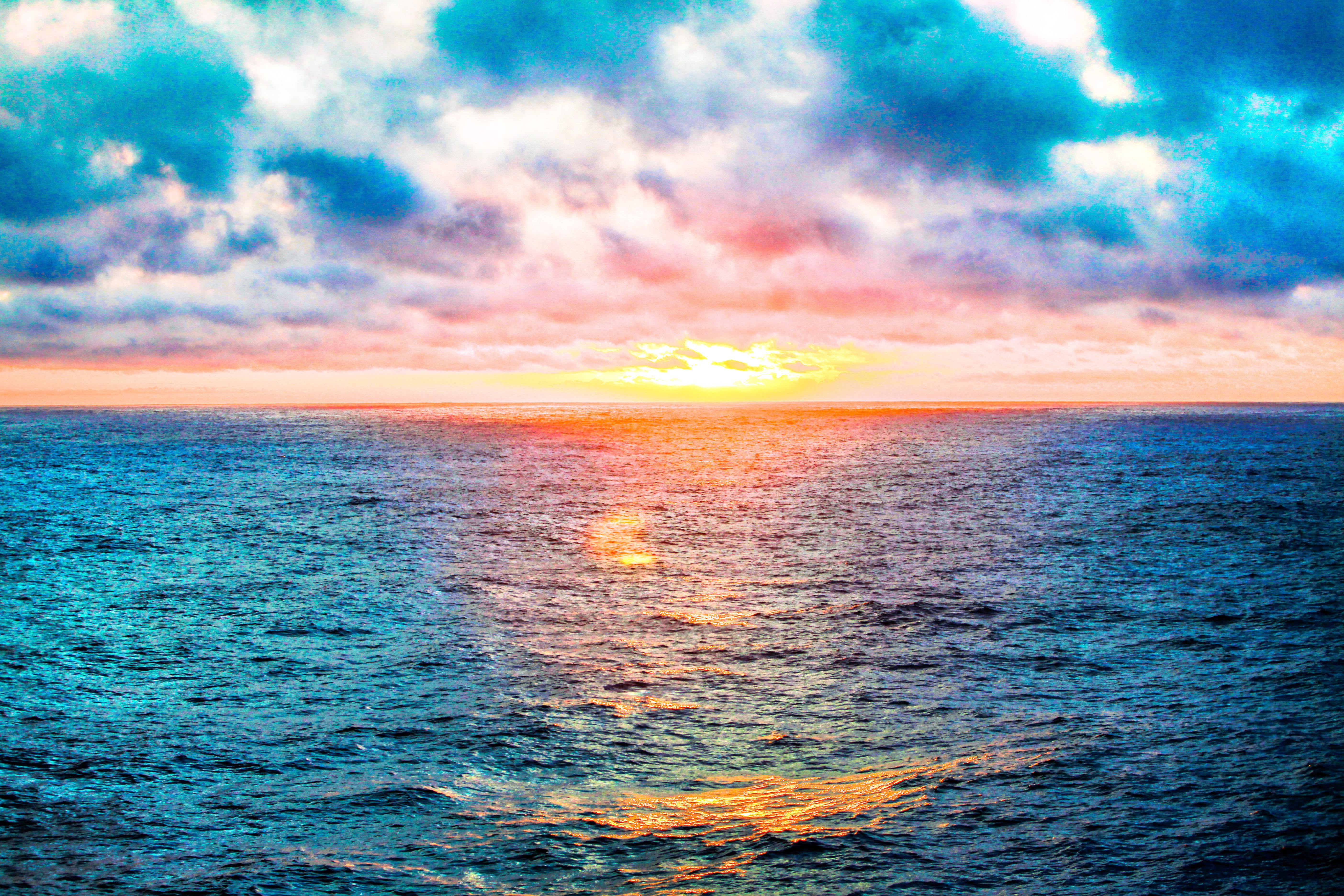 南極大陸 Drake Passage 評判 案内 トリップドットコム 南極大陸 Drake Passage 評判 案内 トリップドットコム