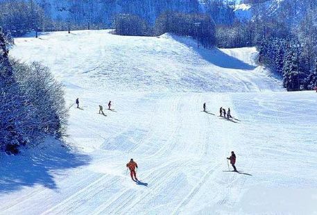現代星宇滑雪度假村