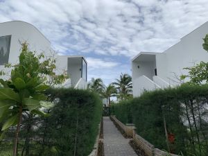 다낭,trippal
