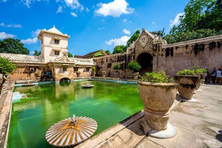  Taman Sari Water Castle  travel guidebook must visit 