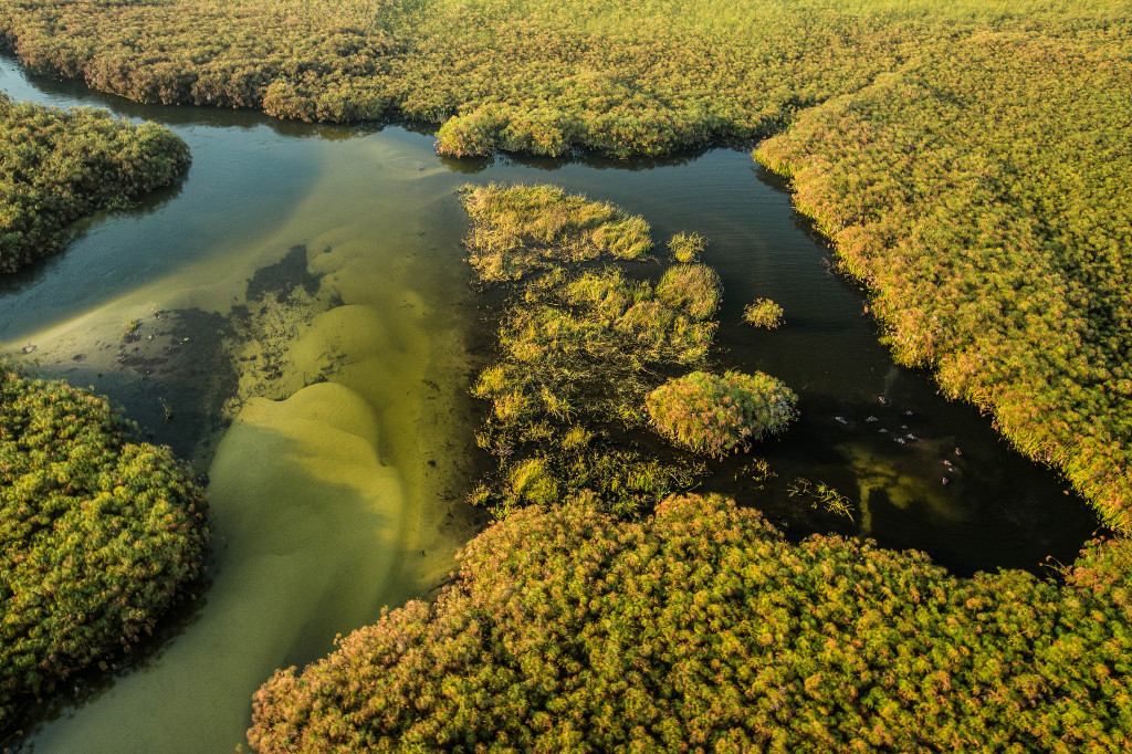 オカバンゴ デルタのレビュー オカバンゴ デルタのチケット オカバンゴ デルタの割引 オカバンゴ デルタの交通機関 所在地 営業時間 オカバンゴ デルタ周辺の観光スポット ホテル グルメ Trip Com