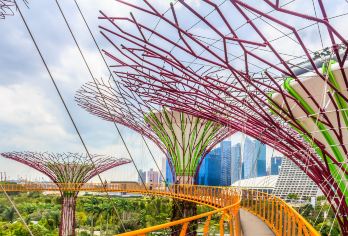 新加坡濱海灣花園 熱門景點照片