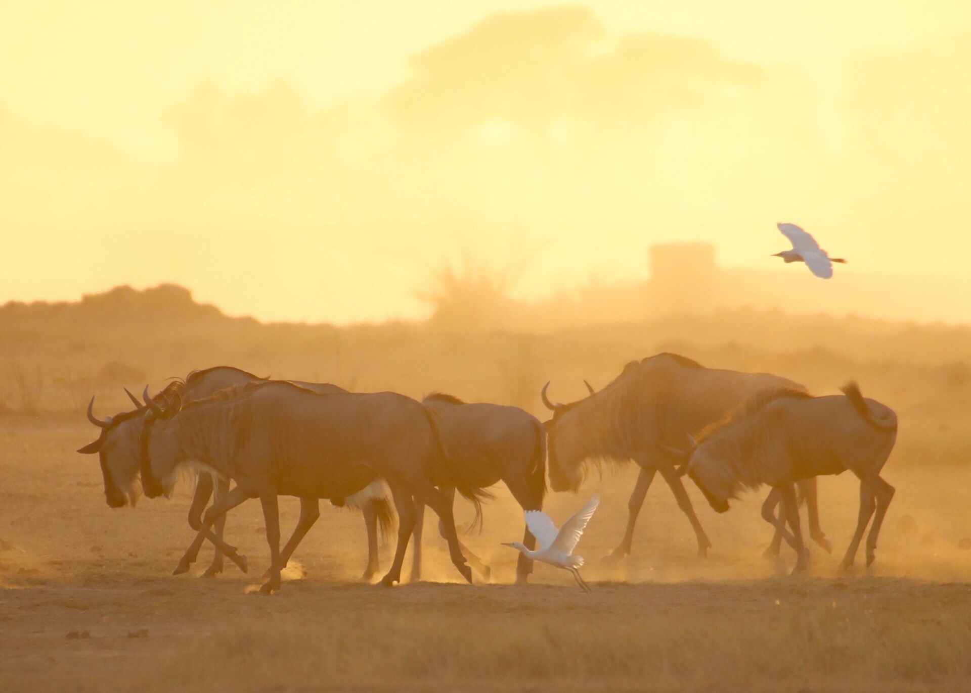 Kajiado 2022 Top Things to Do Kajiado Travel Guides Top
