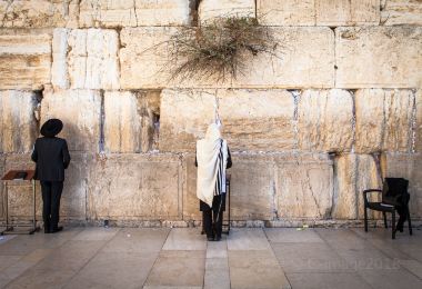 Western Wall Popular Attractions Photos