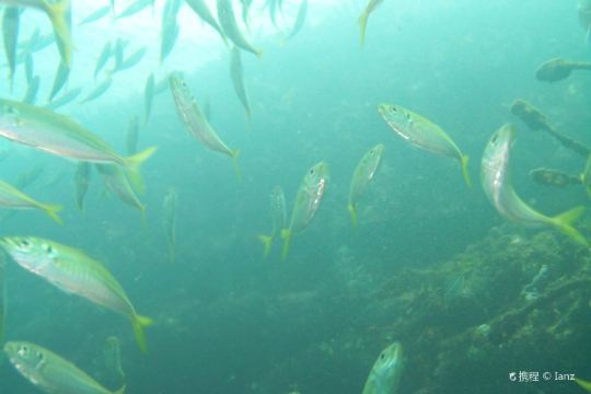 st croix ultimate bluewater adventures