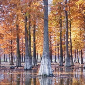 Siminghushuishan Wetland