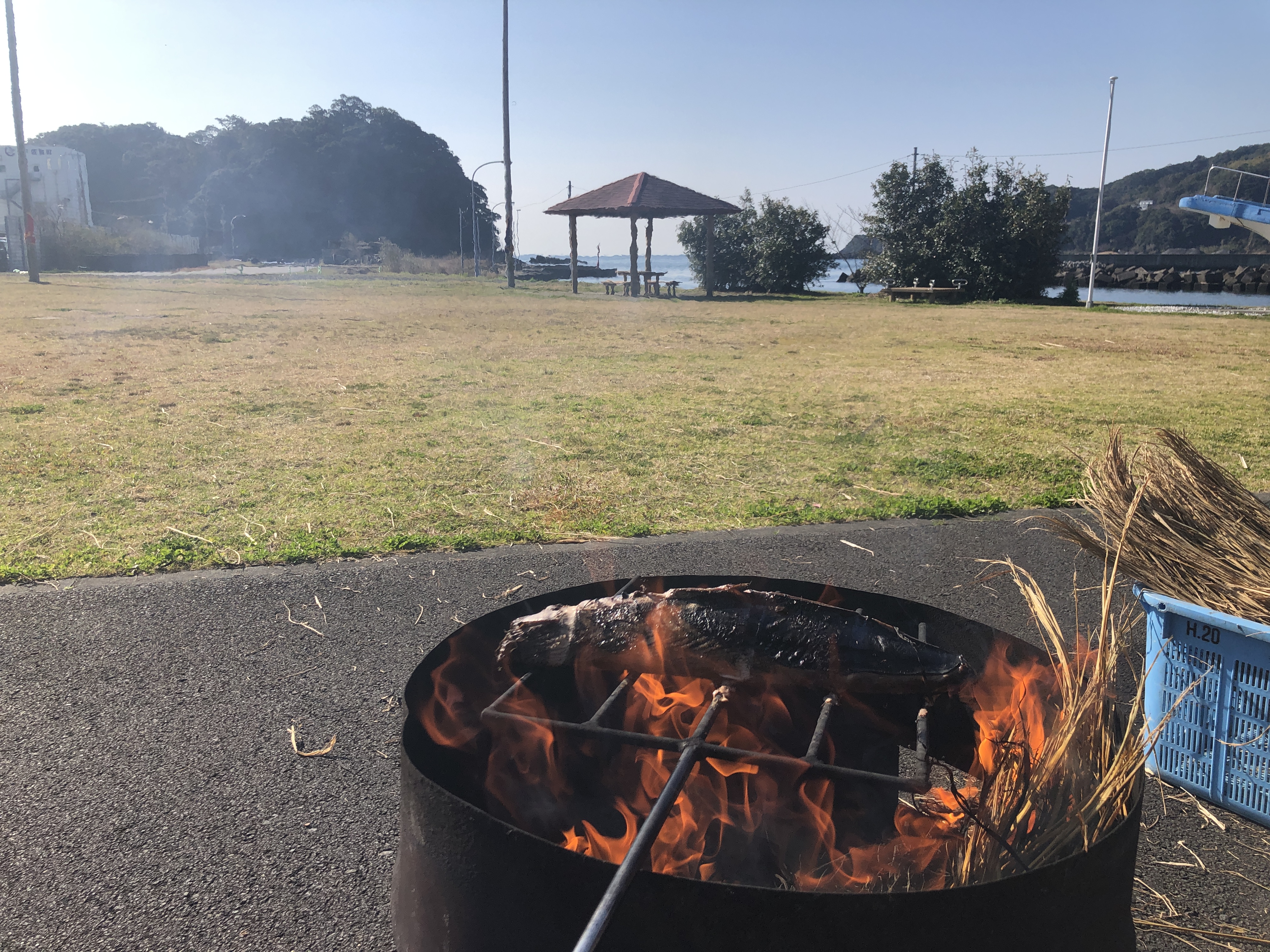 四万十市 土佐西南大規模公園わんぱく広場 評判 案内 トリップドットコム