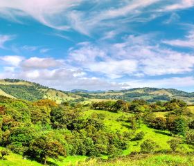 Monteverde Cloud Forest Biological Preserve