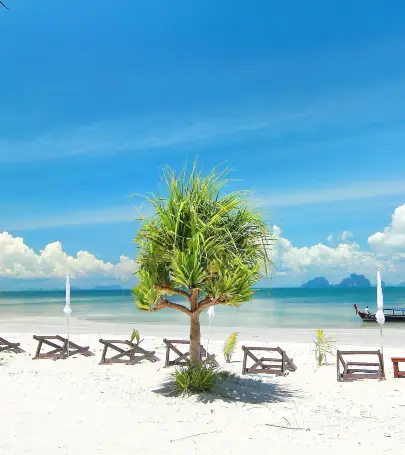 10 Best Things To Do In Trang Thailand Trang Travel Guides 21 Trip Com