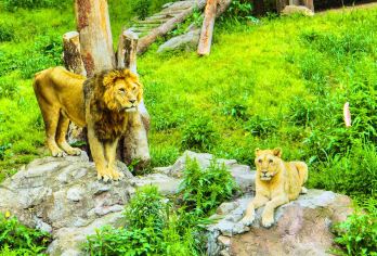 寧波野生動物園 熱門景點照片
