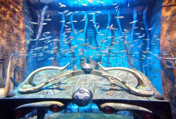 The Lost Chambers Aquarium Popular Attractions Photos