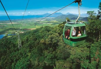 Skyrail熱帶雨林纜車 熱門景點照片