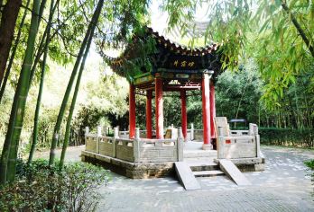 Caotang Temple 명소 인기 사진