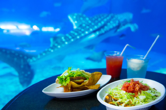 オーシャンブルー 沖縄県のご案内 トリップドットコム