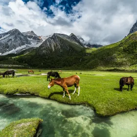 Luorong Pasture