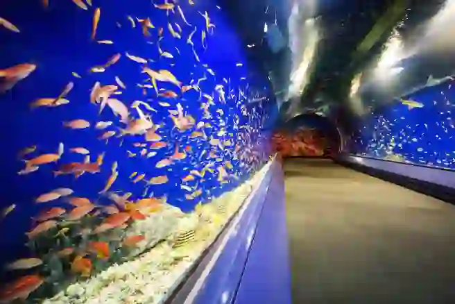 Trip.com