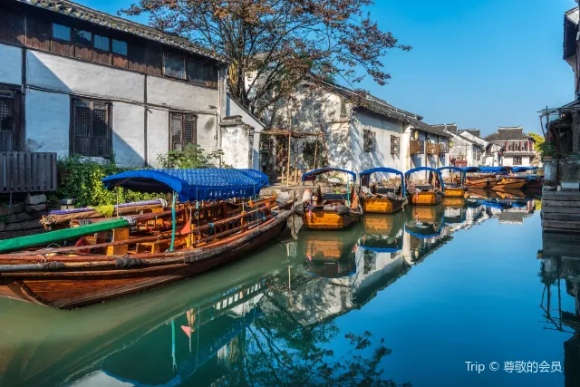 The rowing boats
