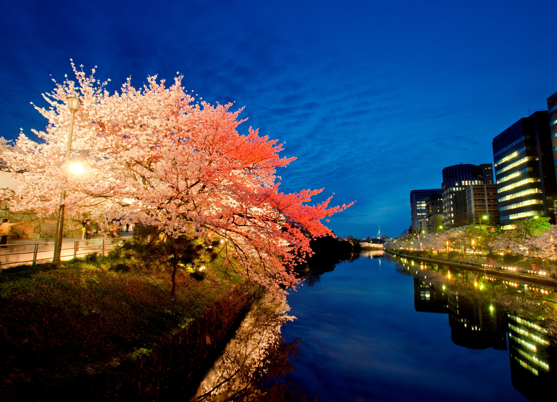 Fukuoka Castle Ruins Attraction Reviews Fukuoka Castle Ruins Tickets Fukuoka Castle Ruins Discounts Fukuoka Castle Ruins Transportation Address Opening Hours Attractions Hotels And Food Near Fukuoka Castle Ruins Trip Com