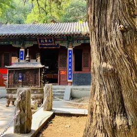 Primus Temple