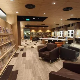 Dunedin Library