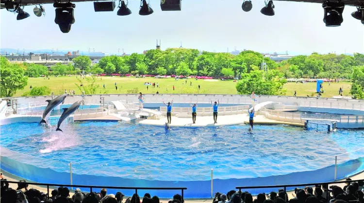 京都 京都水族館 評判 案内 トリップドットコム