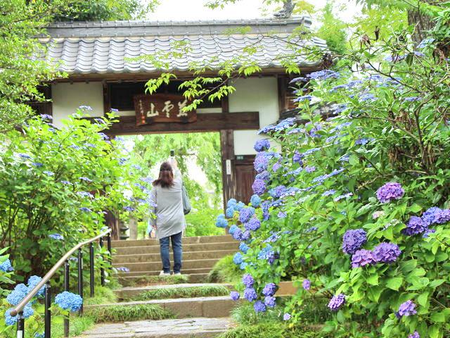 Shifukuji Attraction Reviews Shifukuji Tickets Shifukuji Discounts Shifukuji Transportation Address Opening Hours Attractions Hotels And Food Near Shifukuji Trip Com Shifukuji Attraction Reviews Shifukuji Tickets Shifukuji Discounts Shifukuji Transportation Address Opening Hours Attractions Hotels And Food Near Shifukuji Trip Com